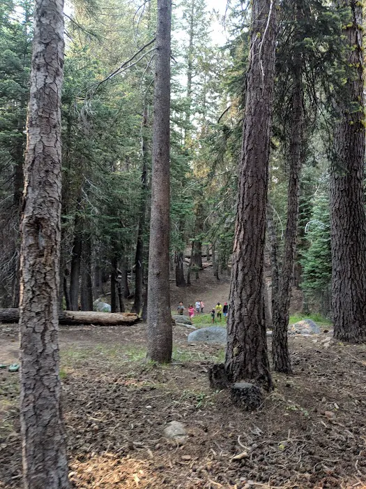 Lodgepole Group Campground Picture 10