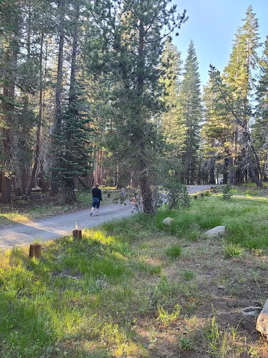 Lodgepole Group Campground Picture 9