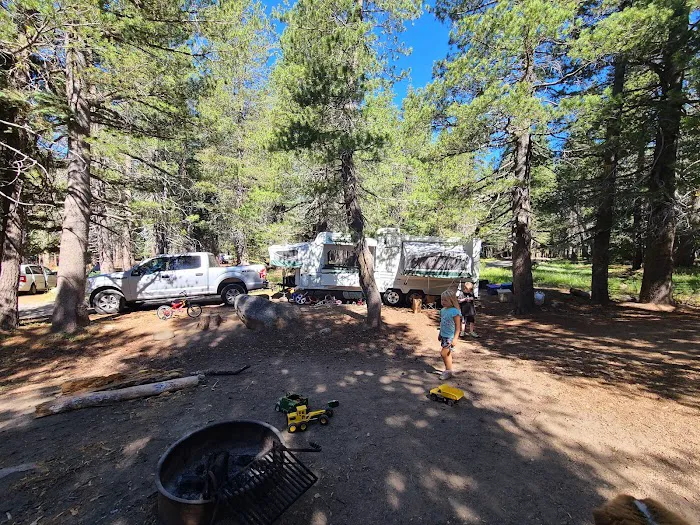 Lodgepole Group Campground Picture 6