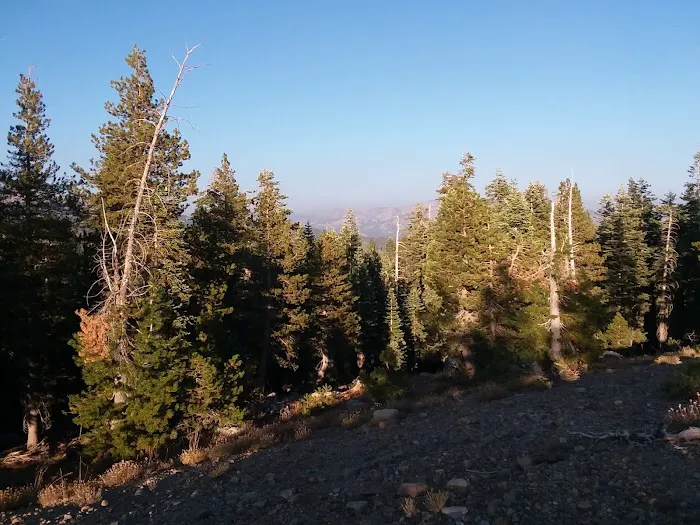 Lodgepole Group Campground Picture 1