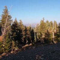 Lodgepole Group Campground ico