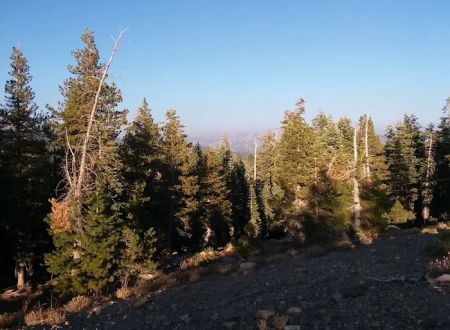 Lodgepole Group Campground