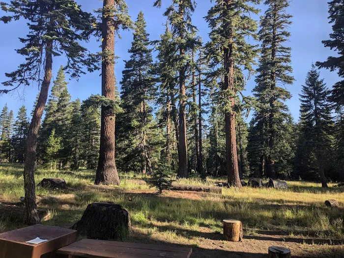Silvertip Campground Picture 2