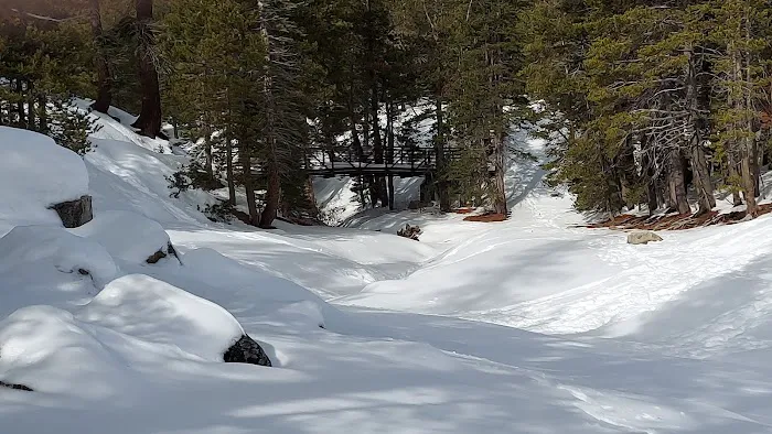 Lake Alpine Campground Picture 8