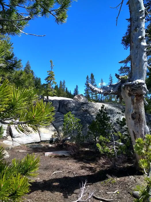 Lake Alpine Campground Picture 10