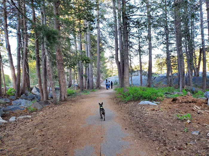 Lake Alpine Campground Picture 9