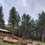 Lake Alpine Campground