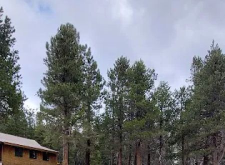 Lake Alpine Campground