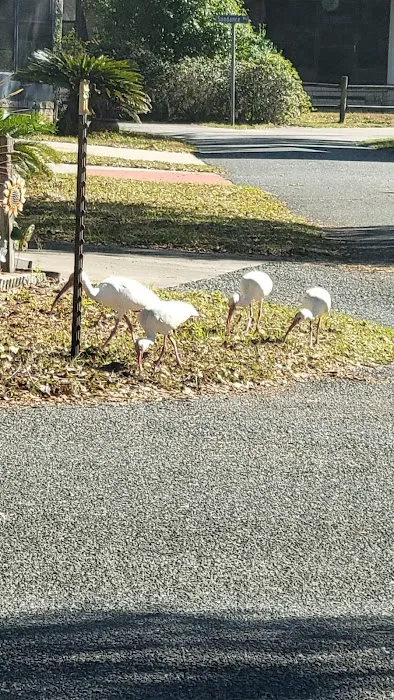 Sunshine Mobile Home Park Picture 2