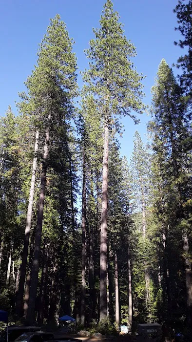 Wakalu Hep Yo Campground Picture 1