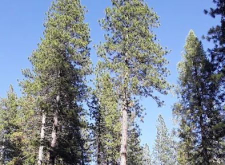 Wakalu Hep Yo Campground