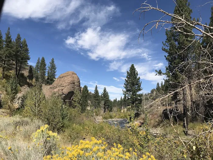 Centerville Flat Campground Picture 8