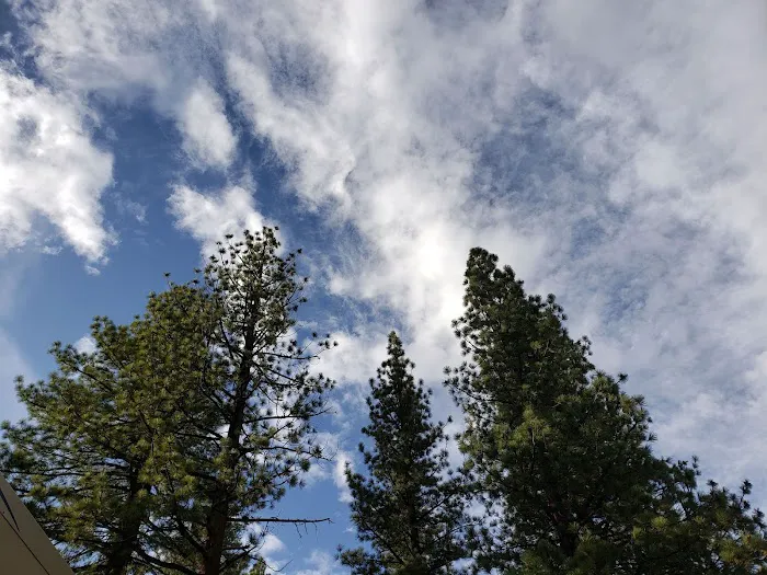 Centerville Flat Campground Picture 2