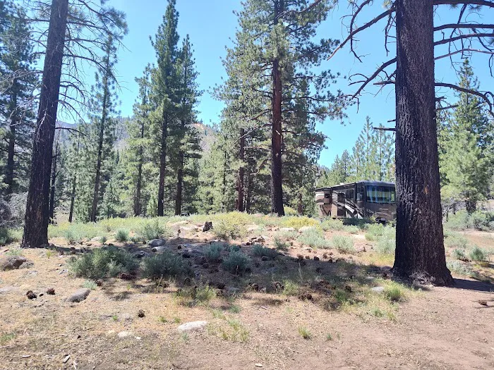 Centerville Flat Campground Picture 5