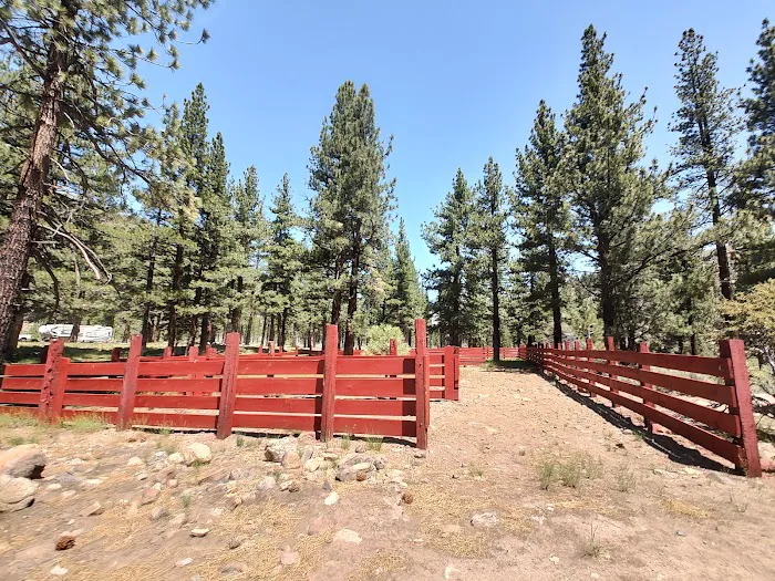 Centerville Flat Campground Picture 7
