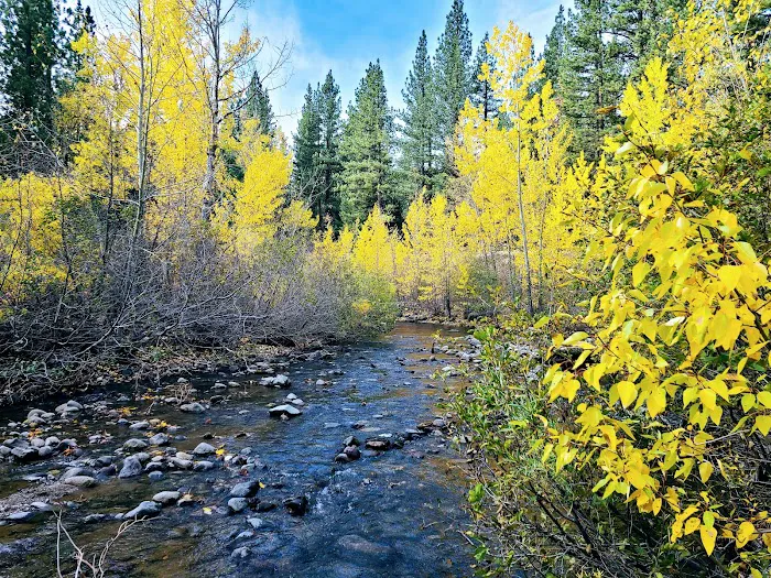 Wolf Creek Campground Picture 7