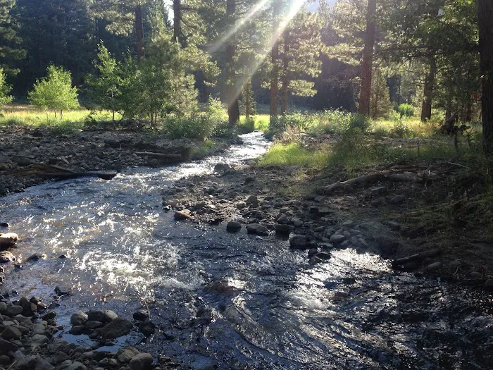 Wolf Creek Campground Picture 6