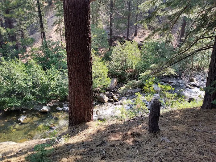 Wolf Creek Campground Picture 9