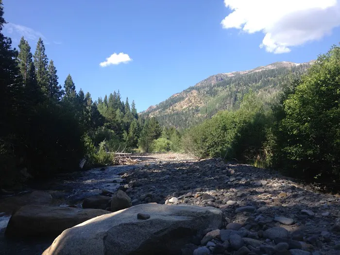 Wolf Creek Campground Picture 2