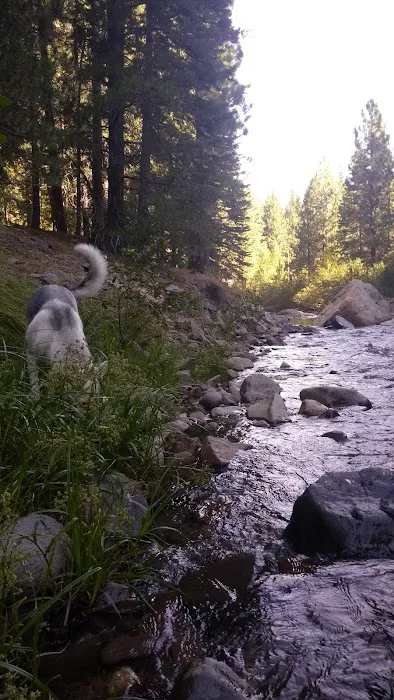 Wolf Creek Campground Picture 10