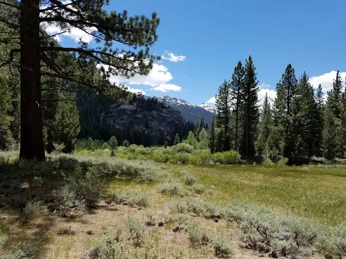 Wolf Creek Campground Picture 3