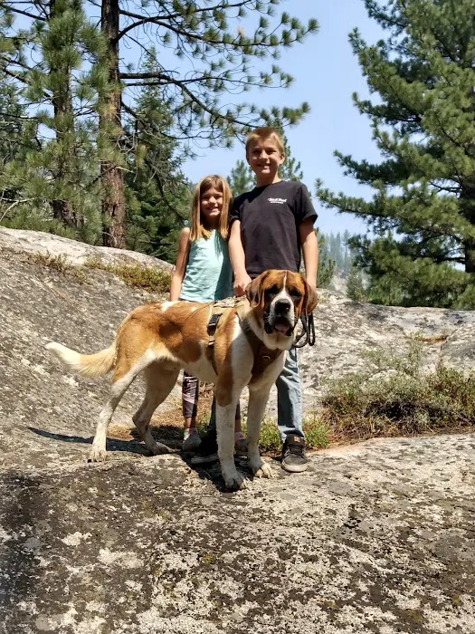 Wolf Creek Campground Picture 1