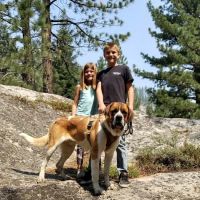 Wolf Creek Campground ico
