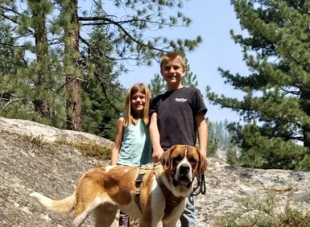 Wolf Creek Campground