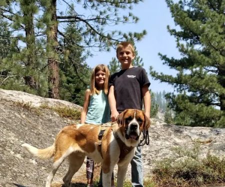 Wolf Creek Campground