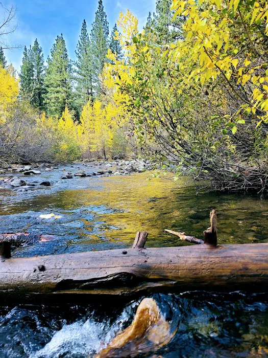 Wolf Creek Campground Picture 8