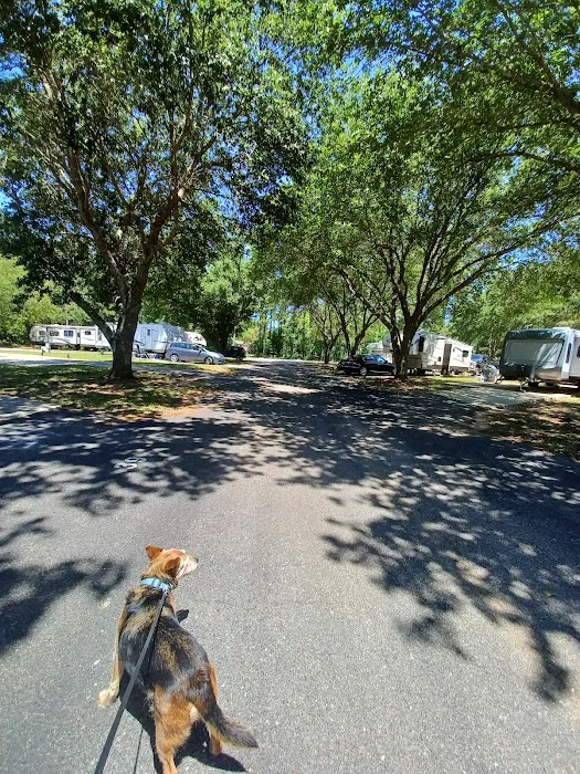 Coastal Haven RV Park Picture 5
