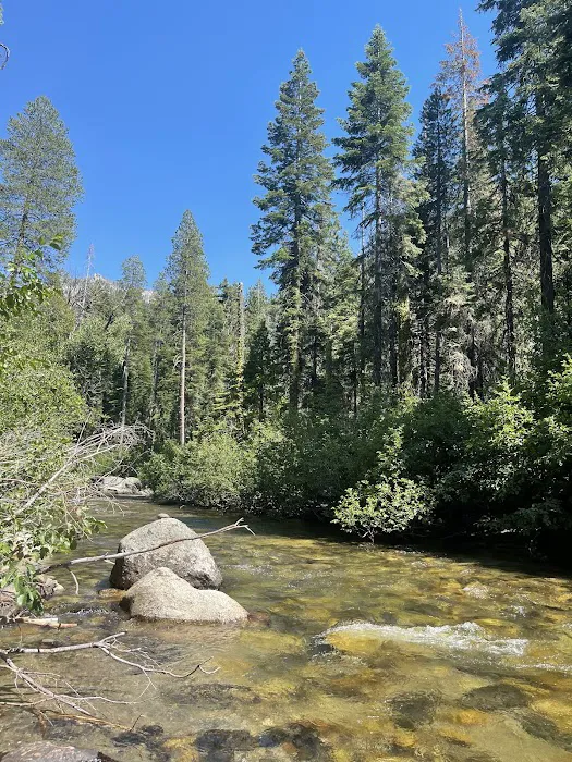 Sand Flat Campground Picture 4