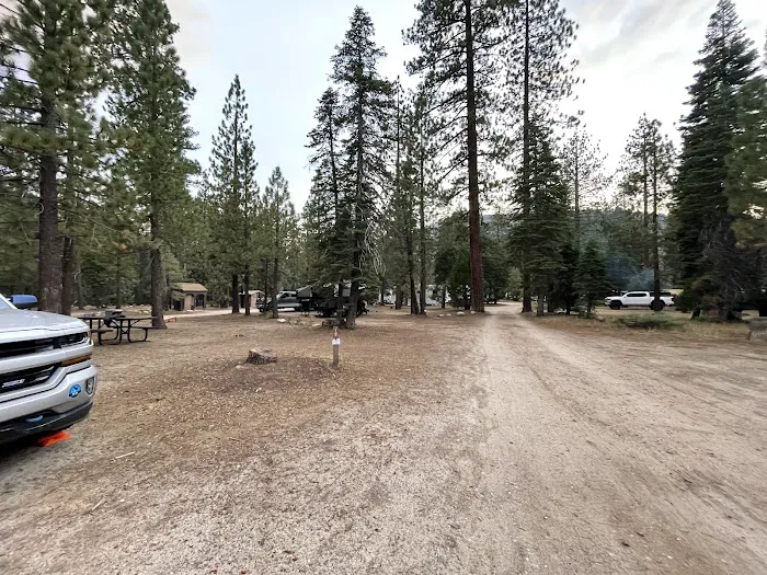 Sand Flat Campground Picture 8