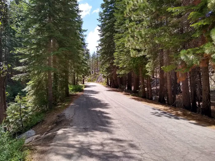 Sand Flat Campground Picture 9