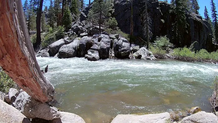Clark Fork Campground Picture 6