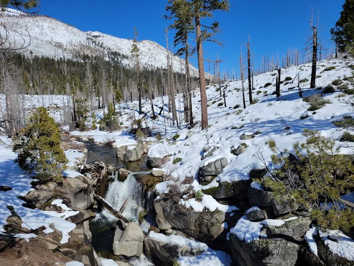Clark Fork Campground Picture 7