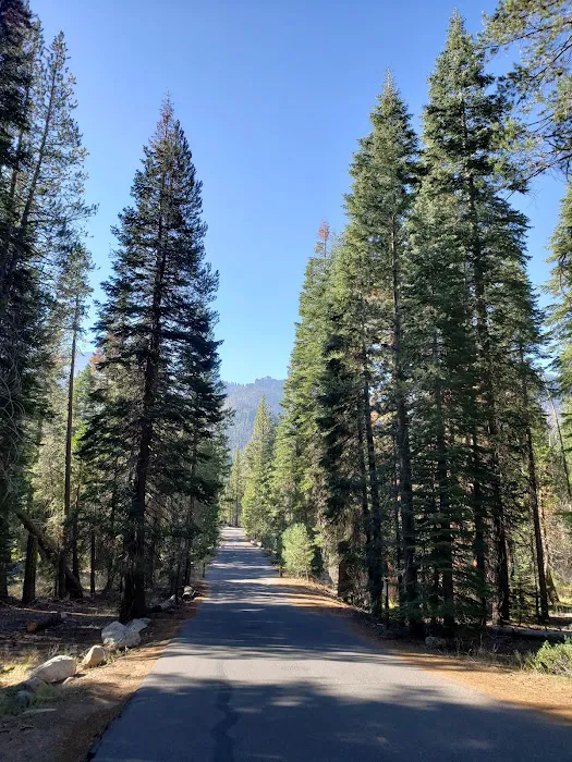 Clark Fork Campground Picture 4