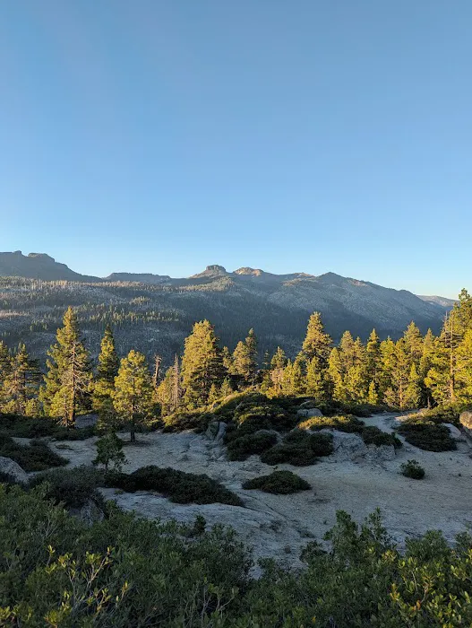 Clark Fork Campground Picture 10