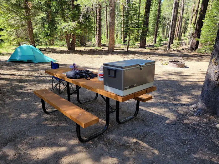 Clark Fork Campground Picture 3