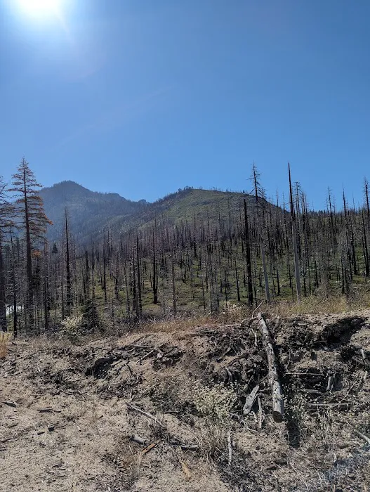 Clark Fork Campground Picture 9