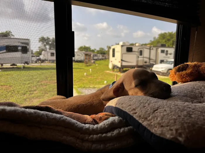 Southern Belle RV Park Picture 3