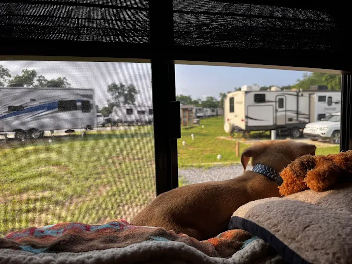 Southern Belle RV Park Picture 5