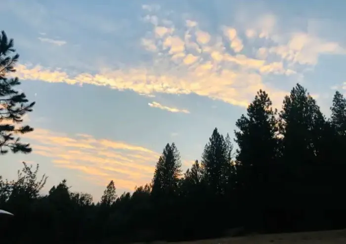 Lazy G Ranch Creekside Camping Retreat Picture 7