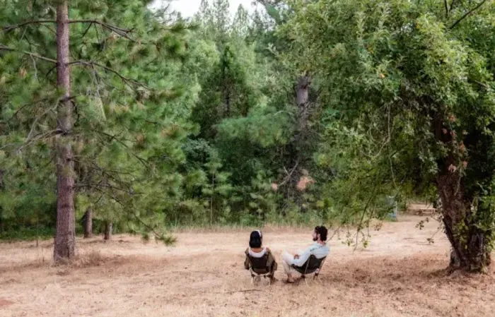 Lazy G Ranch Creekside Camping Retreat Picture 1