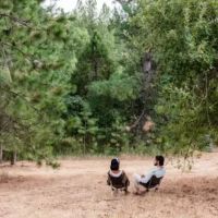 Lazy G Ranch Creekside Camping Retreat ico