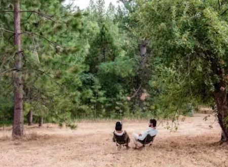 Lazy G Ranch Creekside Camping Retreat