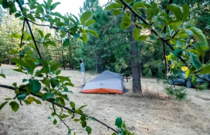 Lazy G Ranch Creekside Camping Retreat Picture 6