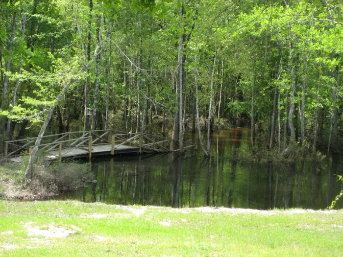 Poll Bayou RV Park Picture 3