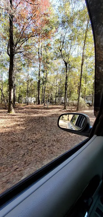 Poll Bayou RV Park Picture 4