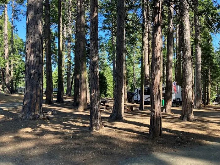 Golden Pines RV Resort and Campground - Arnold, CA Picture 6